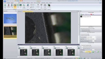 Extended Depth of Field (EDF) Test Strips In Image-Pro Premier 9.1 and higher
