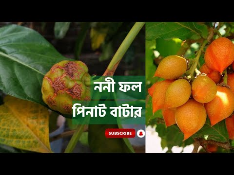 ভিডিও: পিনাট বাটারে কি ফাইবার আছে?