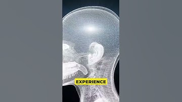 The Binding Problem Merging Our Conscious Senses 🌹🤔