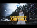 Colorgrading and Сhill (Final Cut Pro X)