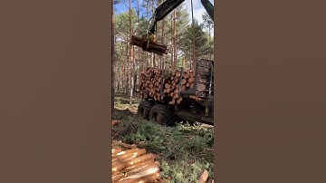 Forwarder 1510g #viral #madera #woodworking #johndeere #machine #forest #forestry #forwarder