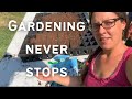 Preparing for Fall Planting 2022