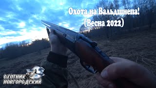 Охота на Вальдшнепа!(Весна 2022)