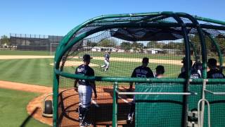 Detroit Tigers '14 Spring Training: Day One
