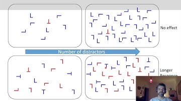 Introduction to Cognitive Neuroscience: Session 4.4 (Visual search tasks, other attention paradigms)