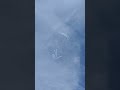 F-22 Raptor Performs Power Climb with flares at the Hyundai Air and Sea Show Miami Beach