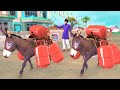 गधा गैस साइकिल चालक Donkey Gas Cylinder wala Hindi Comedy Video Hindi Kahaniya