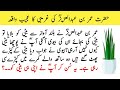 Hazrat Umar Bin Abdul Aziz Ki Ghareebi Ka Ajeeb Waqia | Moral Stories in Urdu| Ikhlaqi Kahani