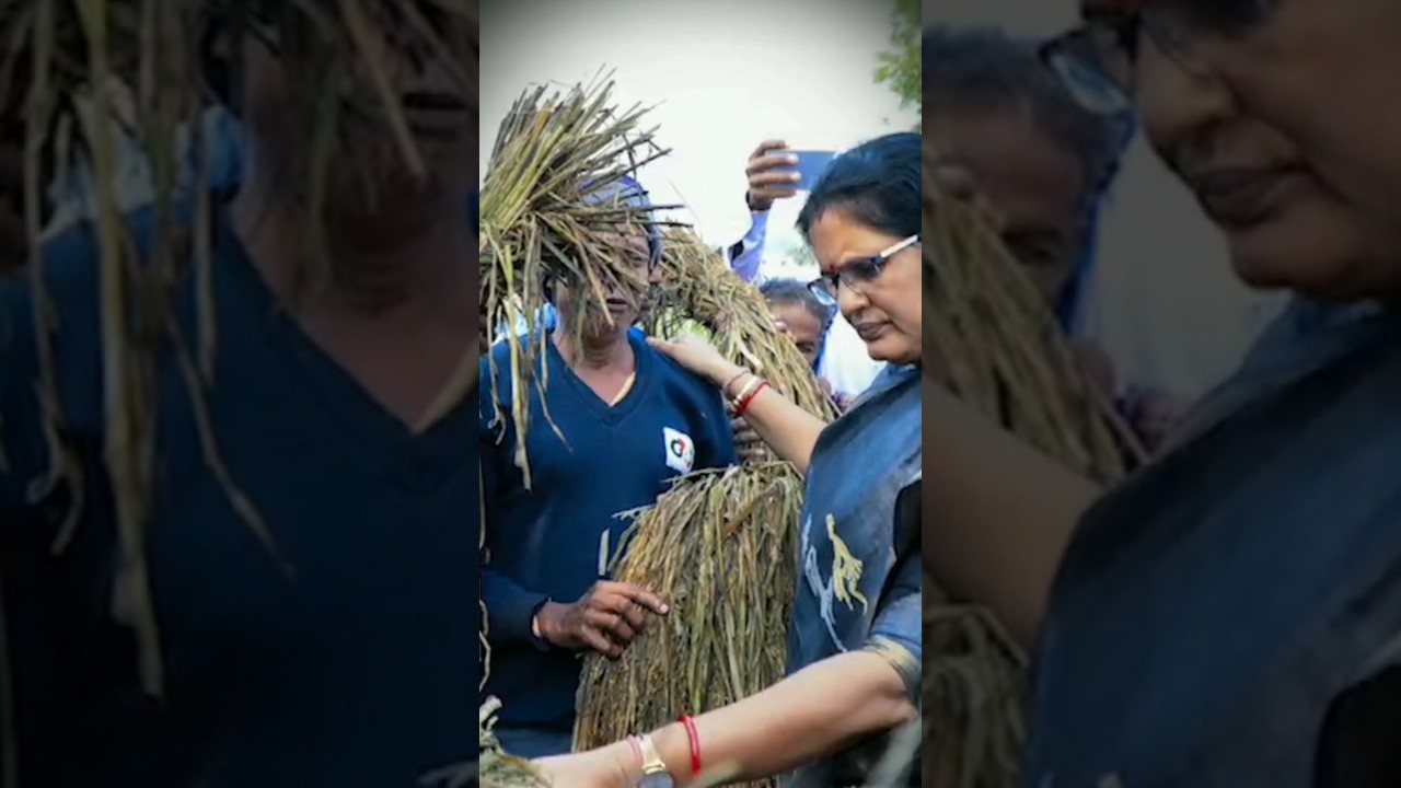 Deputy CM PRAVATI Apa Crop Loss Visit field||