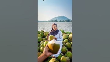 Coconut Cutting Satisfaction | ASMR Sharp Knife Action