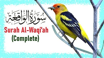 Surah Al-Waqi'ah 56 {56 سورة الواقعة }   (Surah Waqiah) Read and Listen Online Full Arabic Text (HD)