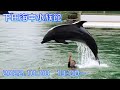 ◆下田海中水族館　ワンダーオーシャン（海上ステージイルカショー）（2022.10.08）13:00~ ◆