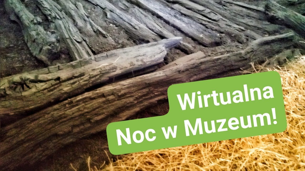 Wirtualna Noc w Muzeum