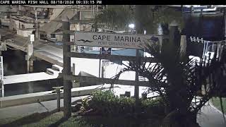 Preview of stream Cape Marina - Live Fish Wall