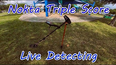 Live Metal Detecting Nokta Triple Score