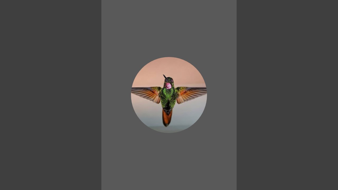 Inzunza Alignment 🐉🧜🏾‍♂️❤️🕯️🌊🐦