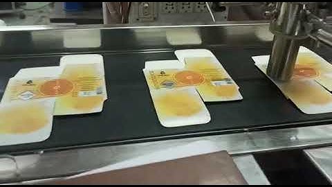 Linx 8920 CIJ Printer coding on Conveyor Applications........