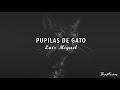 Miniature de la vidéo de la chanson Pupilas De Gato