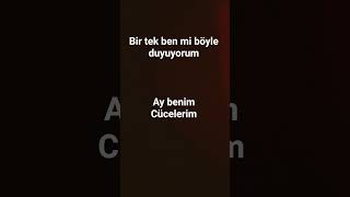 Ay Benim Cücelerim