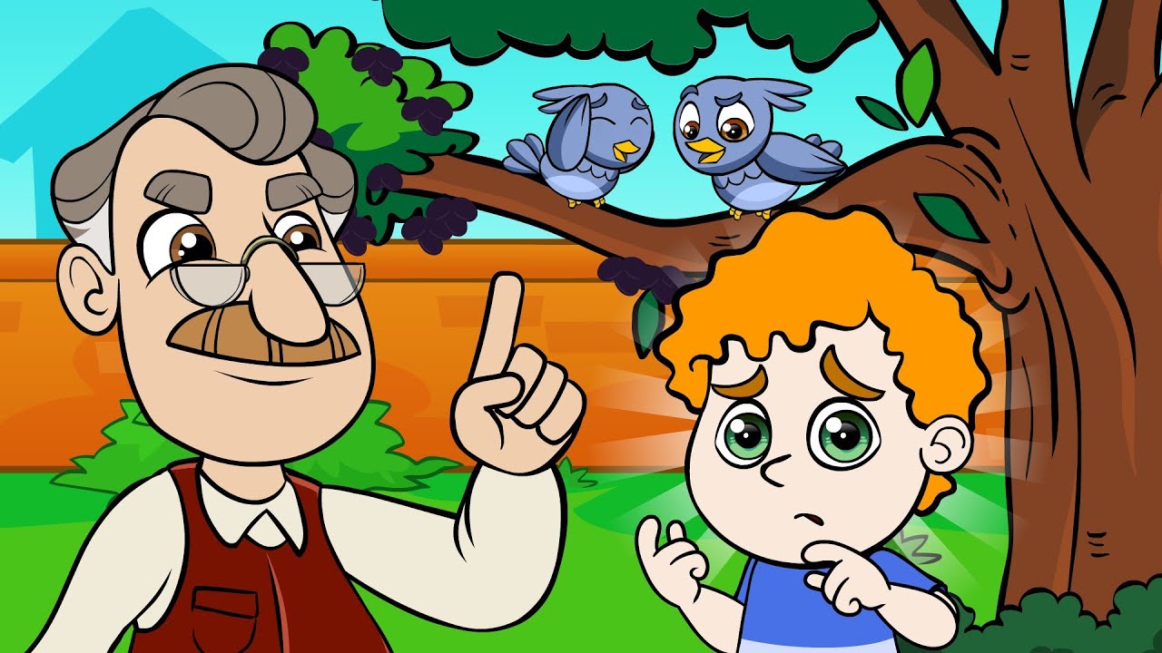 Música Infantil: João, não come o que cai no chão!