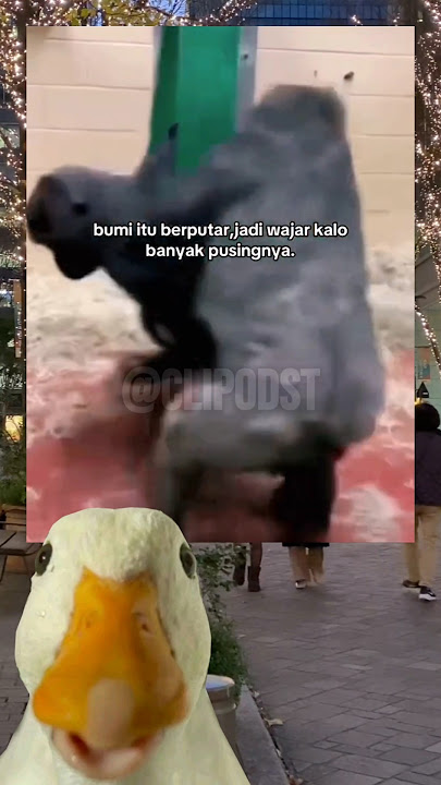 VIDEO VIRAL 51‼️JADI GINI🫠#memes #viralvideo #short