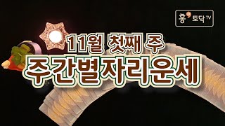 [홍테라타로/11월첫째주주간별자리운세]11월2일 ~ 8일 11월 첫째주 주간별자리운세