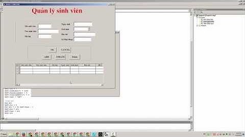Bài 4: Load dữ liệu bảng lên Visual Basic - Phần 1 - Lập trình Visual Basic