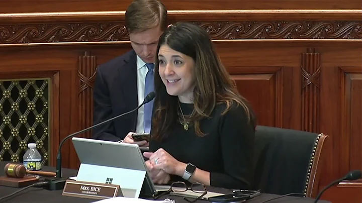 Chairwoman Bice 2nd Q&A with Witnesses