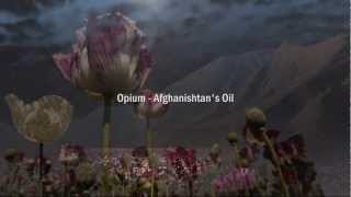 Opium, Afghanistan&#39;s Oil - Spadecaller