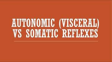Reflexes: Autonomic (Visceral) Reflexes vs Somatic Reflexes