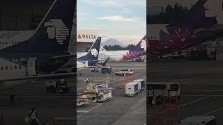 Hawaiian Airplane approaches SeaTac terminal. Taken July 19 7:52PM.