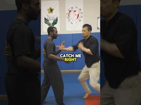 Xing Yi Internal Power Is INCREDIBLY FAST Kungfu Xingyi Martialarts Shorts