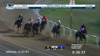 Vidéo de la course PMU PRIX ICEBOX 2018