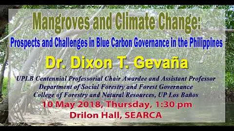 Mangroves and Climate Change: Prospects and Challenges in Blue Carbon Governance in the Philippines - DayDayNews