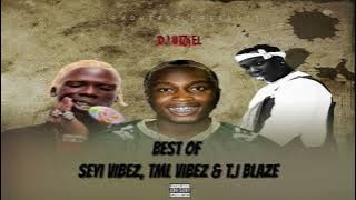 BEST OF TML VIBEZ & SEYI VIBEZ & T.I BLAZE MIX | CHILDREN OF AFRICA | PAWON BOY | SHAKUR |