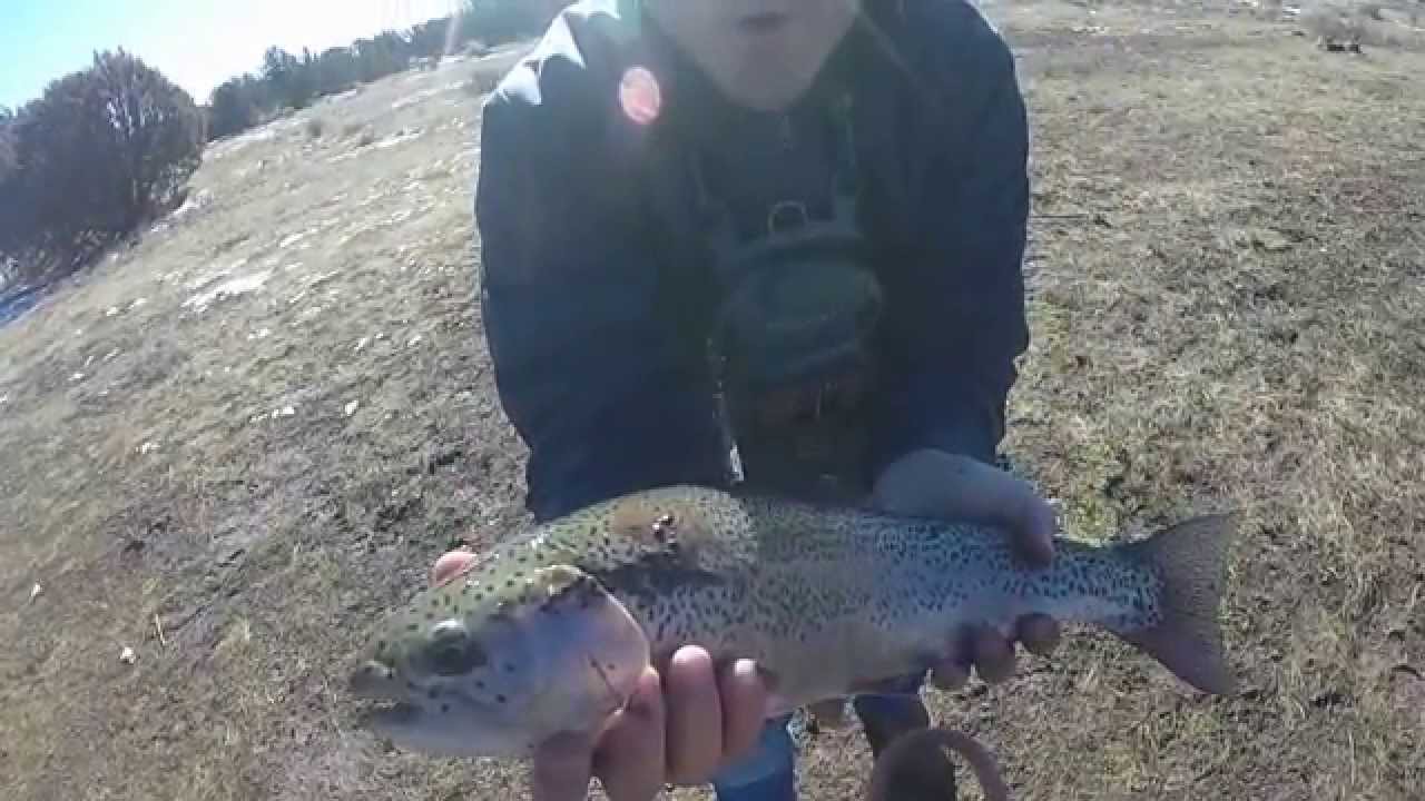 Fly Fishing Silver Creek AZ YouTube