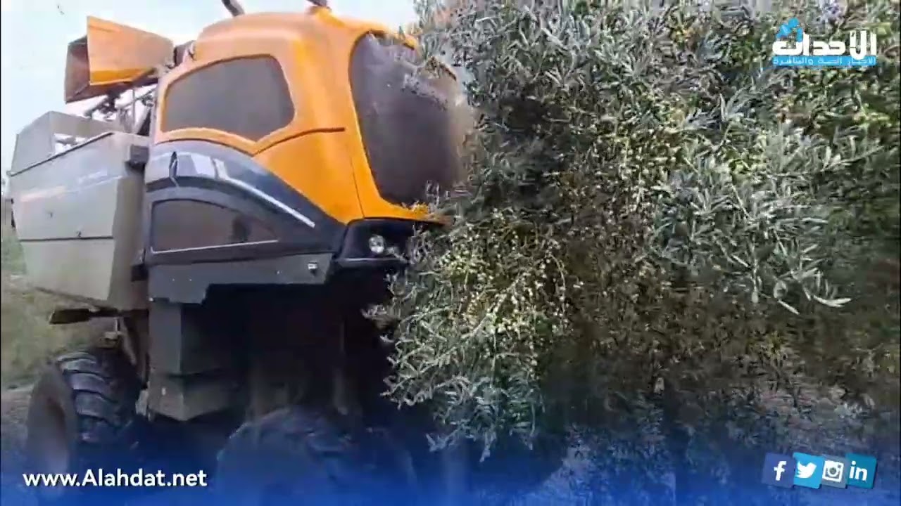 شاهد.. من نواحي مكناس آلة جني الزيتون العصرية 🫒 قطف الغلة 🌿 بجودة و كفاءة عالية..اللهم بارك