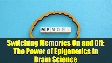 Switching Memories On and Off: The Power of Epigenetics in Brain Science