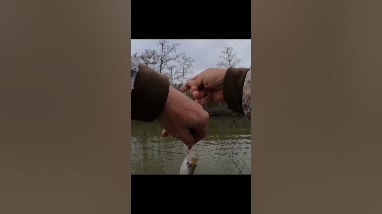 Late december crappie fishing little guy hit the beetle spin youtube