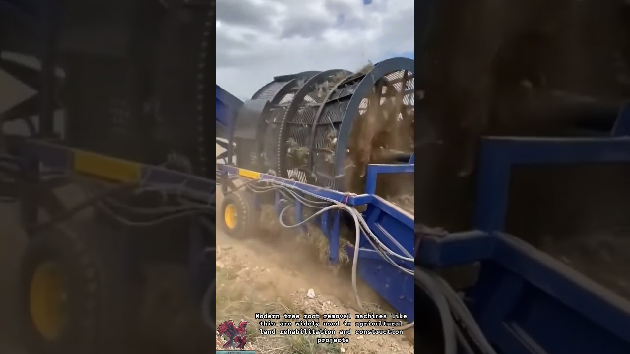 Automatic Root Separator Machine: Fast & Efficient Root Cleaning for Farmers