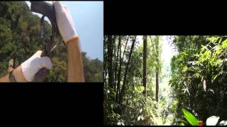 Zip lining The Gibbon Experience Bokeo Reserve