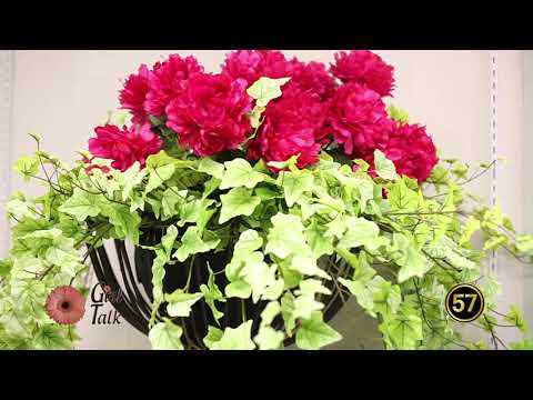 Girl Talk | America's Best Flowers | Episode 410 & 411 | 8/10/17
