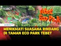 Mengunjungi Taman Eco Park Tebet! Rindang Pepohonan &amp; Konsep Ramah Lingkungan
