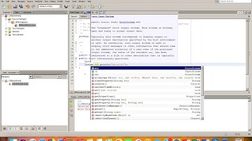 java: netbeans: difference between print and println