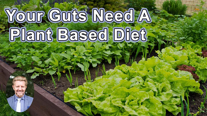 Your Guts Need For A Plant Based Diet  - Brian Clement, PhD, LN