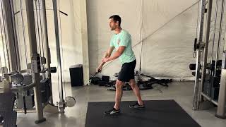 Single Arm High Pull in Staggered Stance