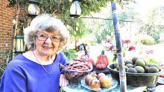 Big Surprise Pictures & How I store Sugar Cane For Winter In Ga.