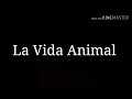 Trailer canal La Vida Animal (descubrenos)