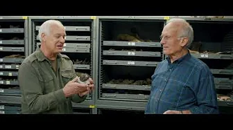 Como as pegadas e os ovos de dinossauros são evidências de um Dilúvio global? - Dr. Art Chadwick