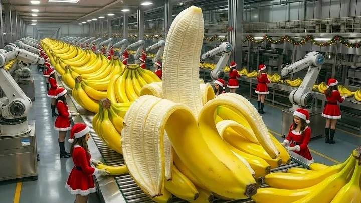 Inside a banana bread factory – An incredible automated production process